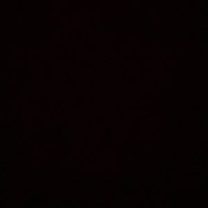 Meet your Posher, Layla